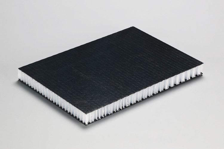 25mm-Double-sided-Black-CFRT-Faced-Thermoplastic-Honeycomb-Panels-1.jpg