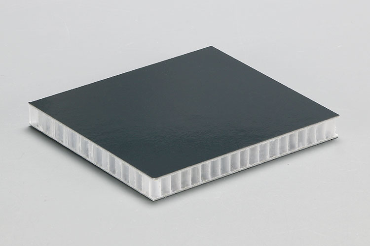 Black-GRP-Facing-폴리프로필렌-Honeycomb-Sandwich-Panels-01.jpg
