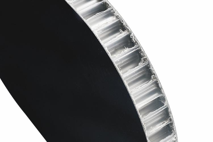 Palheta de Pickleball em Fibra de Carbono Fosco T700 16mm (2)